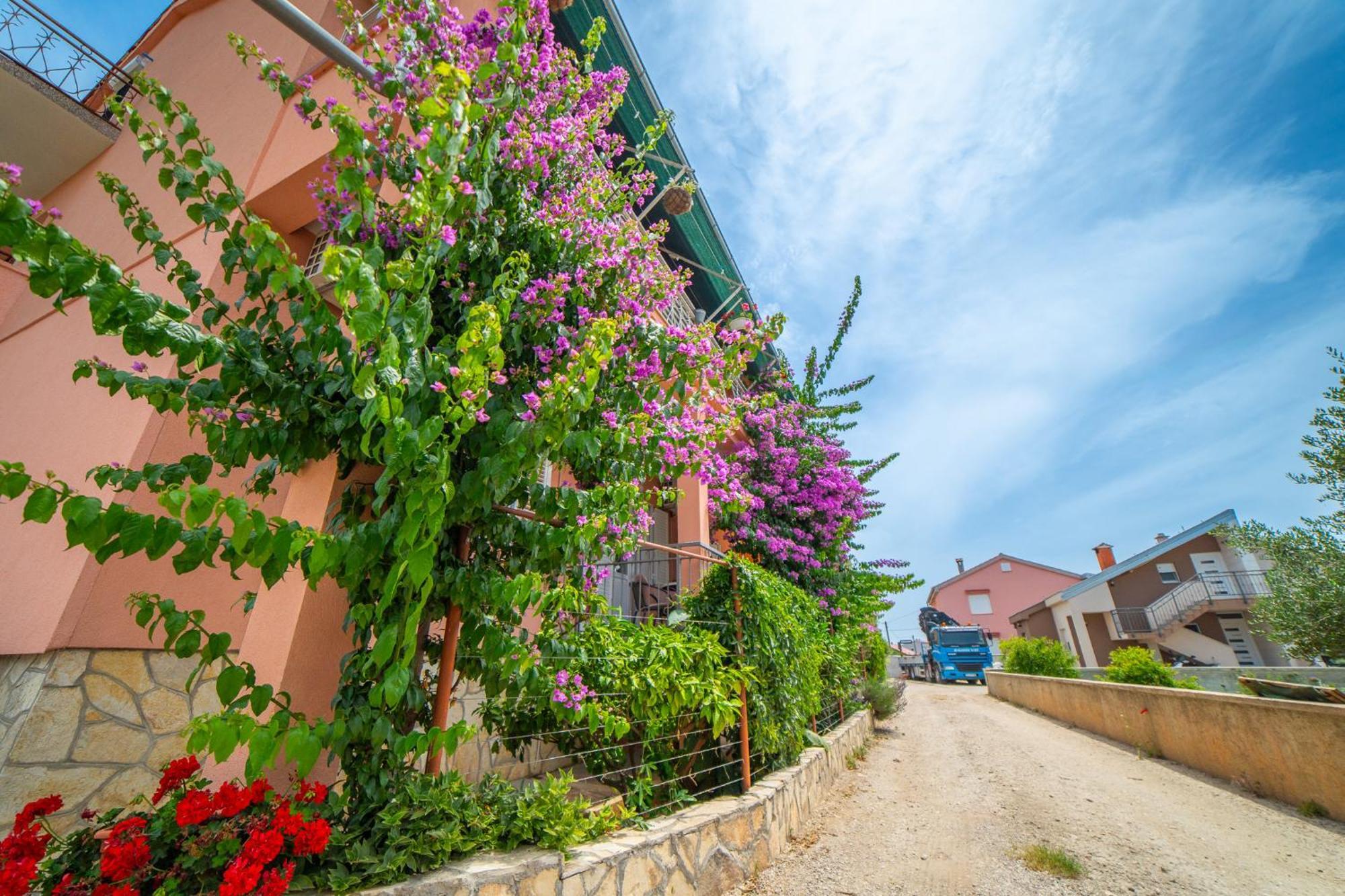 House Of Mile Zadar Exterior foto
